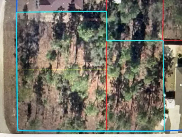 $54,900 | 0 Northeast 9th Street, Williston, FL 32696