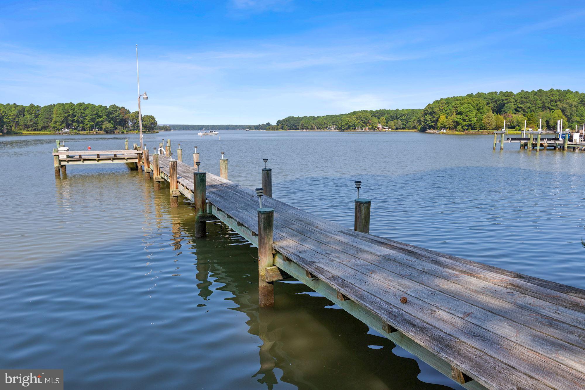 5562 Heron Point Road Royal Oak, MD 21662 - Photo 4 of 60 4MLW private dock