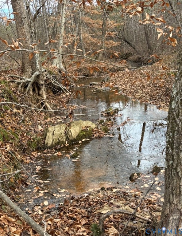 Tbd Perkins Mill Road Dillwyn, VA 23936 - Photo 3 of 6