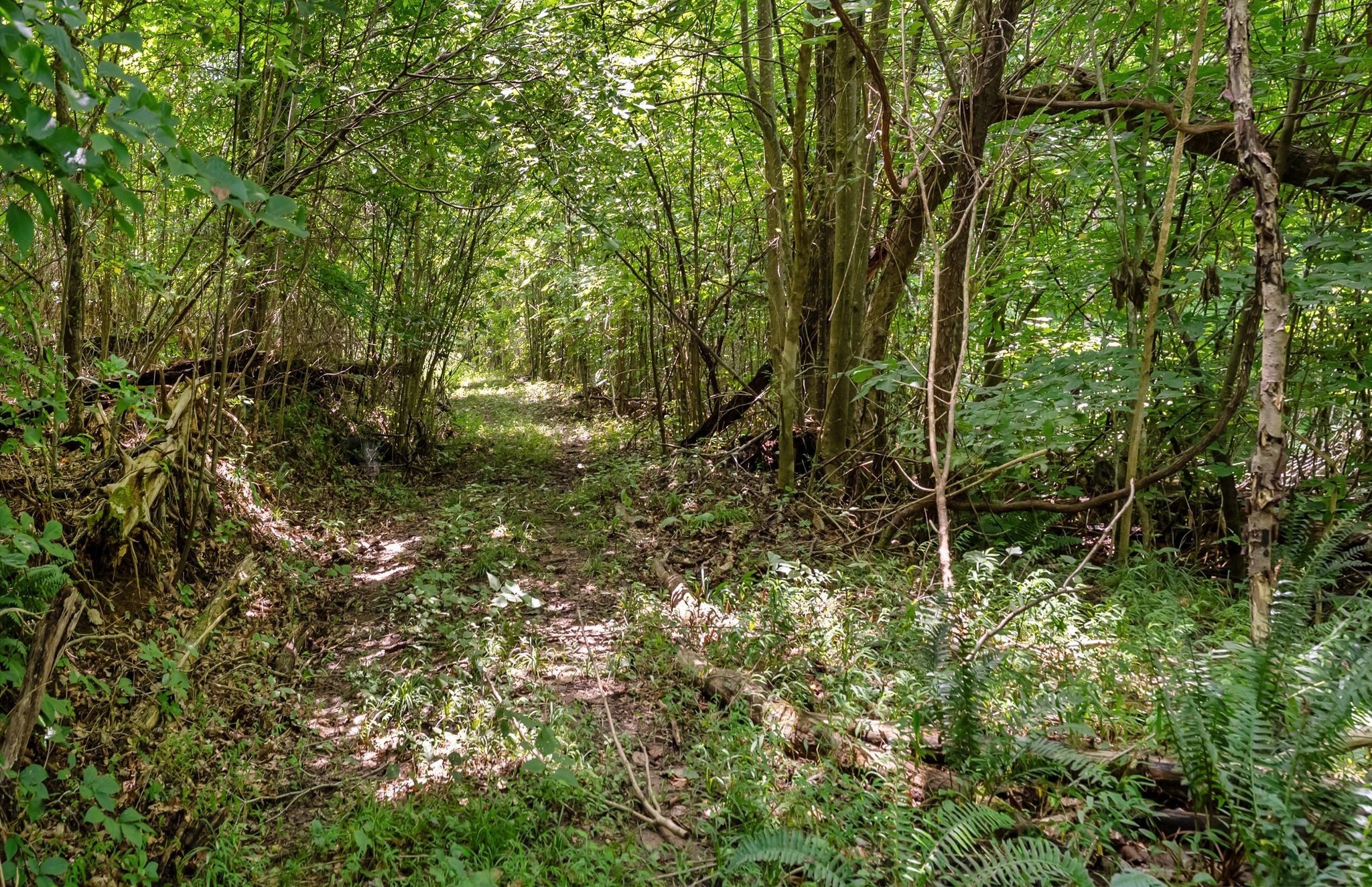 0 Sparkman Town-Bone Cave Road Doyle, TN 38559 - Photo 41 of 77 Gallery Image 41