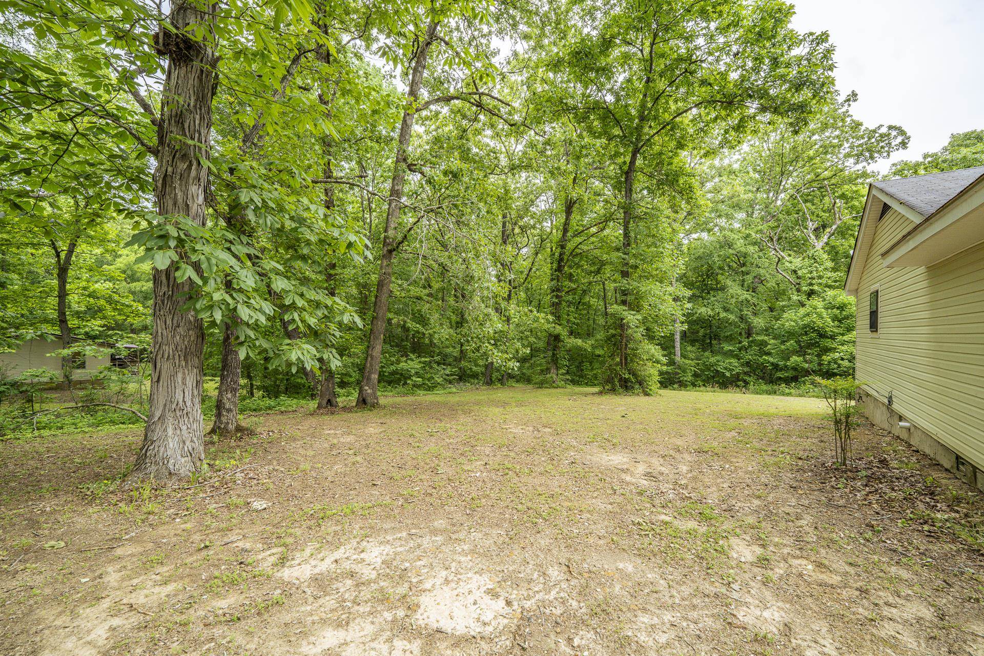259 Oakview Drive Adamsville, TN 38310 - Photo 24 of 32 Spacious backyard featuring mature trees, partial lawn coverage, and a segment of a yellow-sided exterior with a dark shingle roof