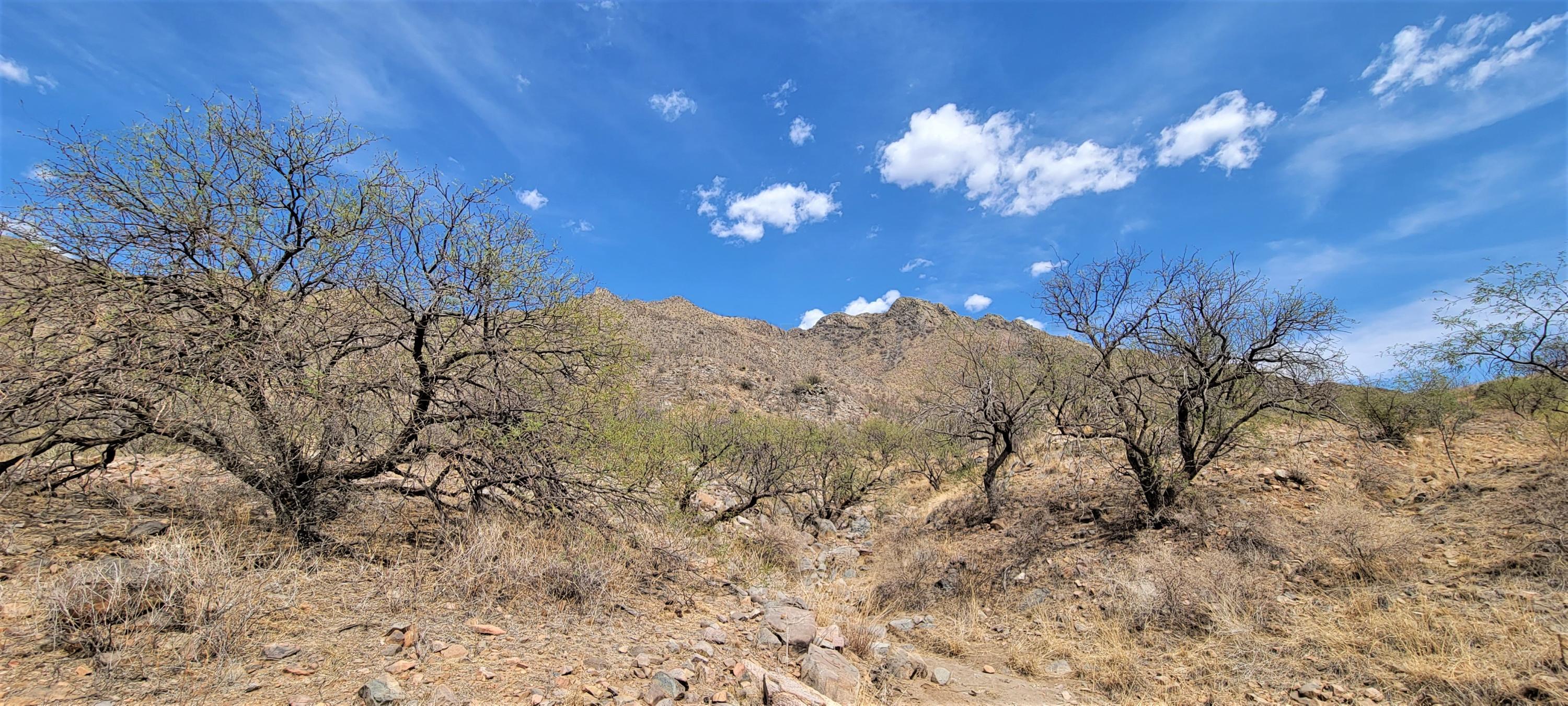 1501 Vía San Cayetano, Unit 25 Rio Rico, AZ 85648 - Photo 3 of 16