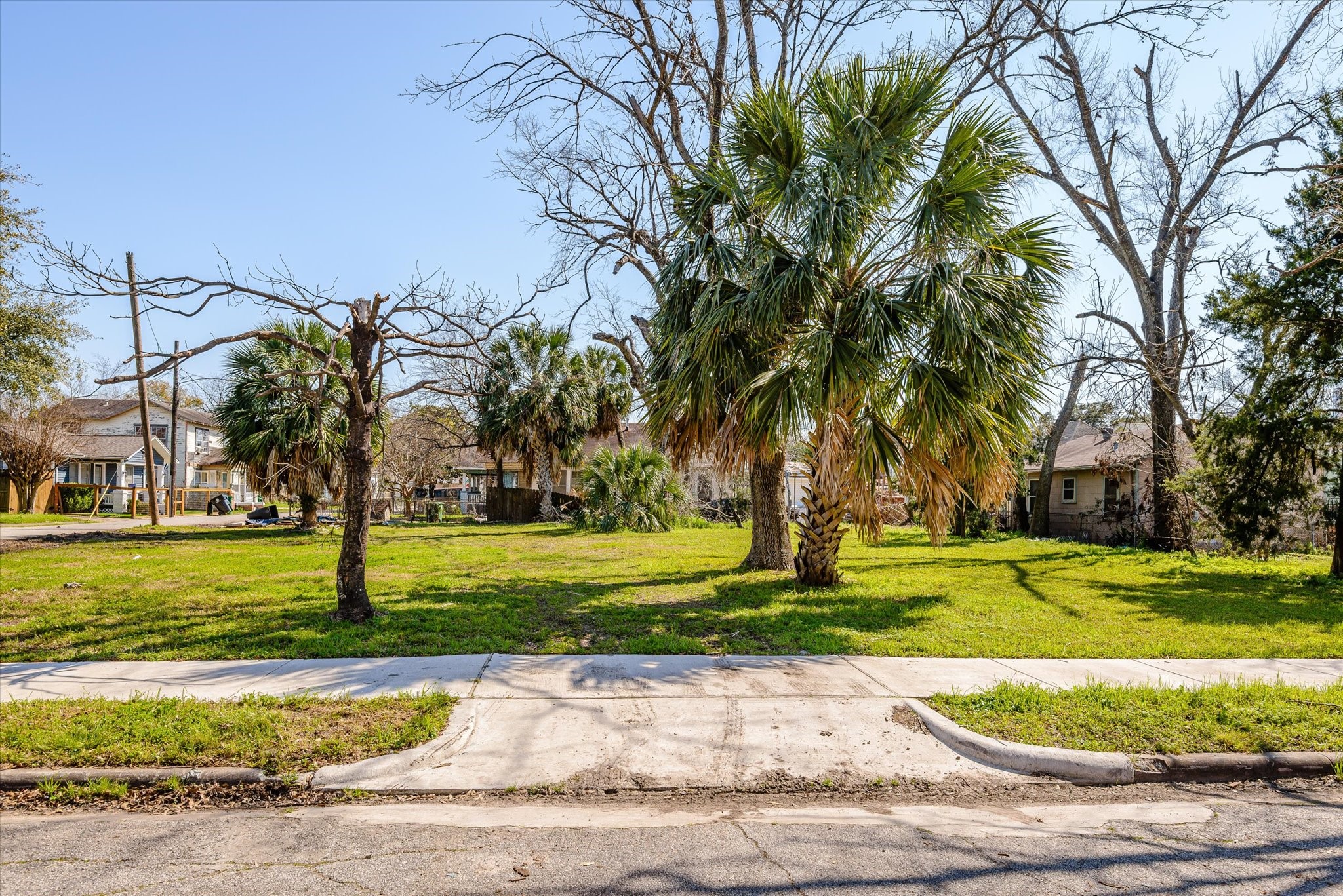 1212 Pinckney Street Houston, TX 77009 - Photo 17 of 19 a garden with trees in front of it
