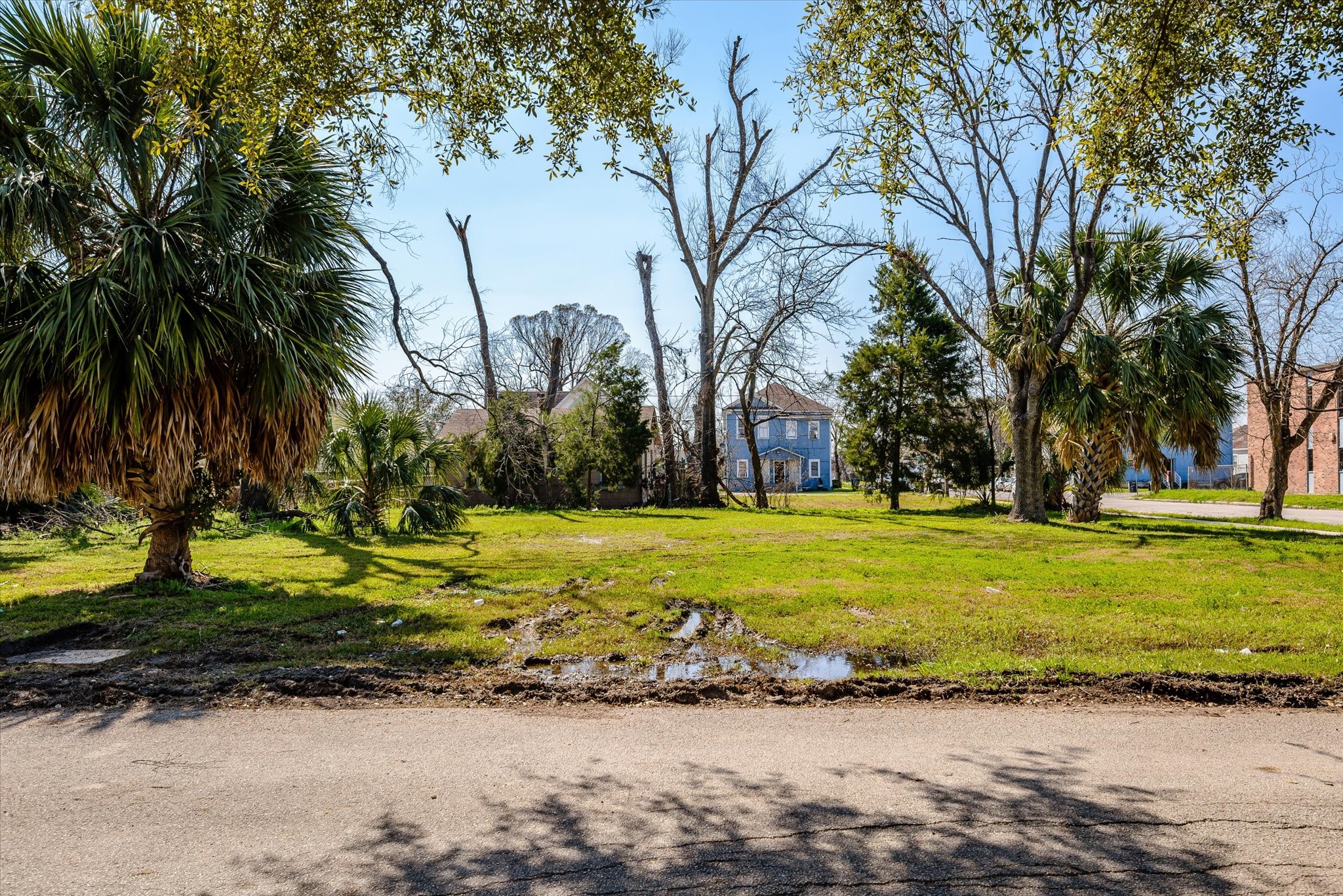 1212 Pinckney Street Houston, TX 77009 - Photo 19 of 19 a view of a swimming pool with a lawn chairs under palm trees