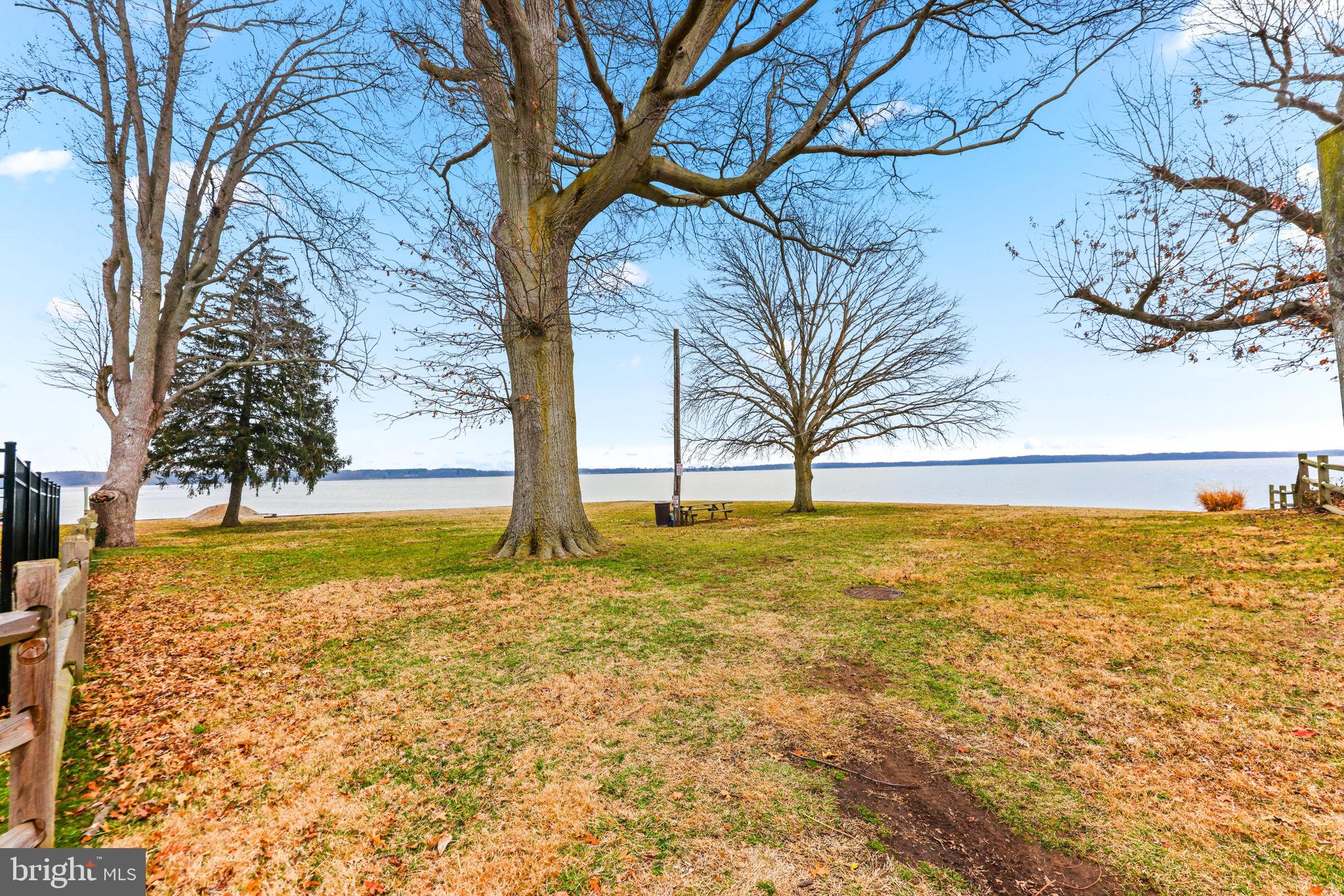 7343 Greenbank Road Baltimore, MD 21220 - Photo 41 of 46 a view of a yard with a tree