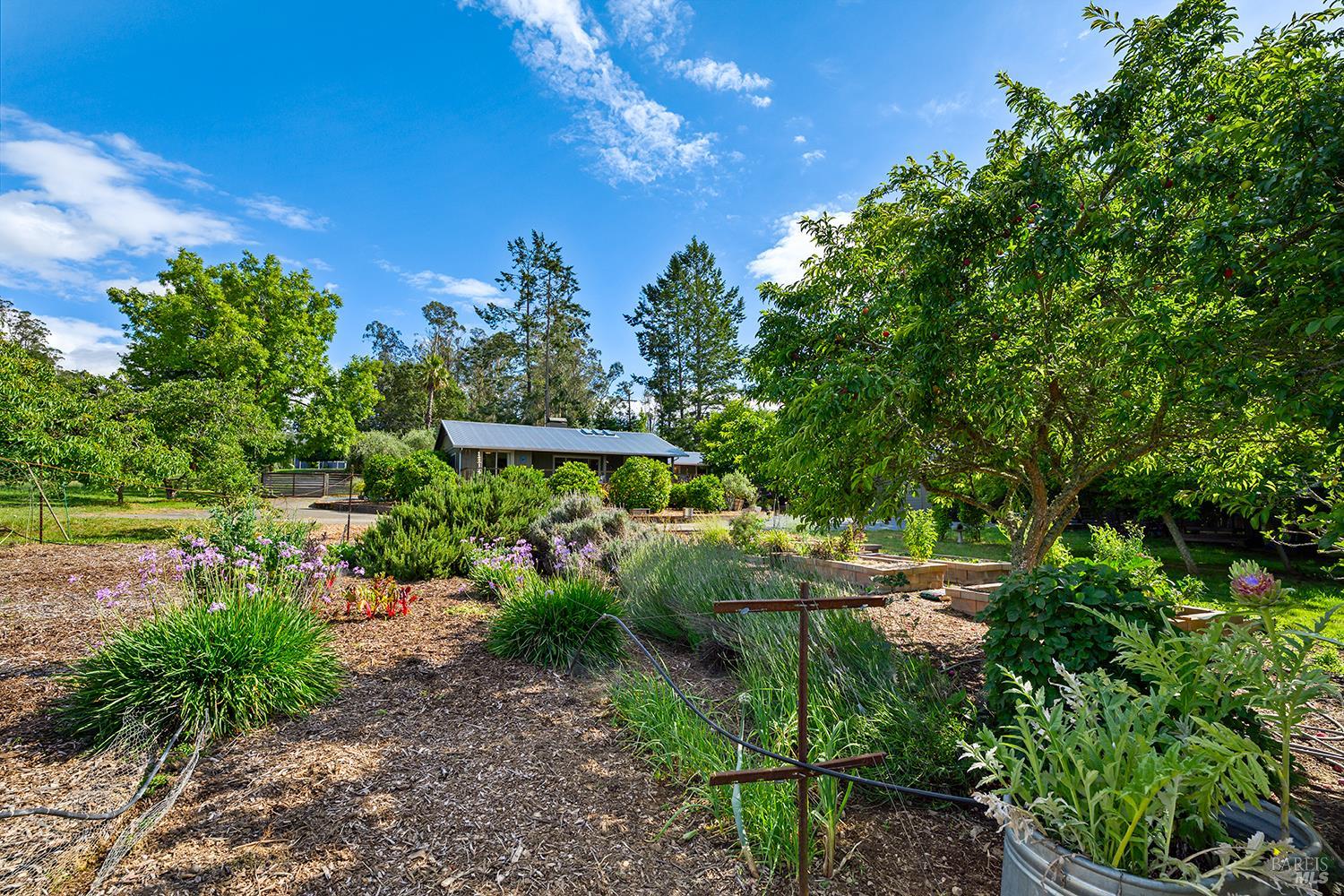 2630 Burnside Road Sebastopol, CA 95472 - Photo 64 of 81