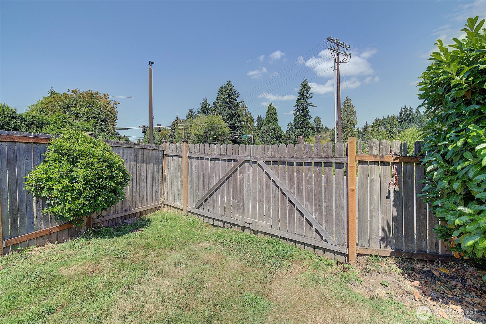 2019 181st Street Southeast Bothell, WA 98012 - Photo 23 of 23 a garden view