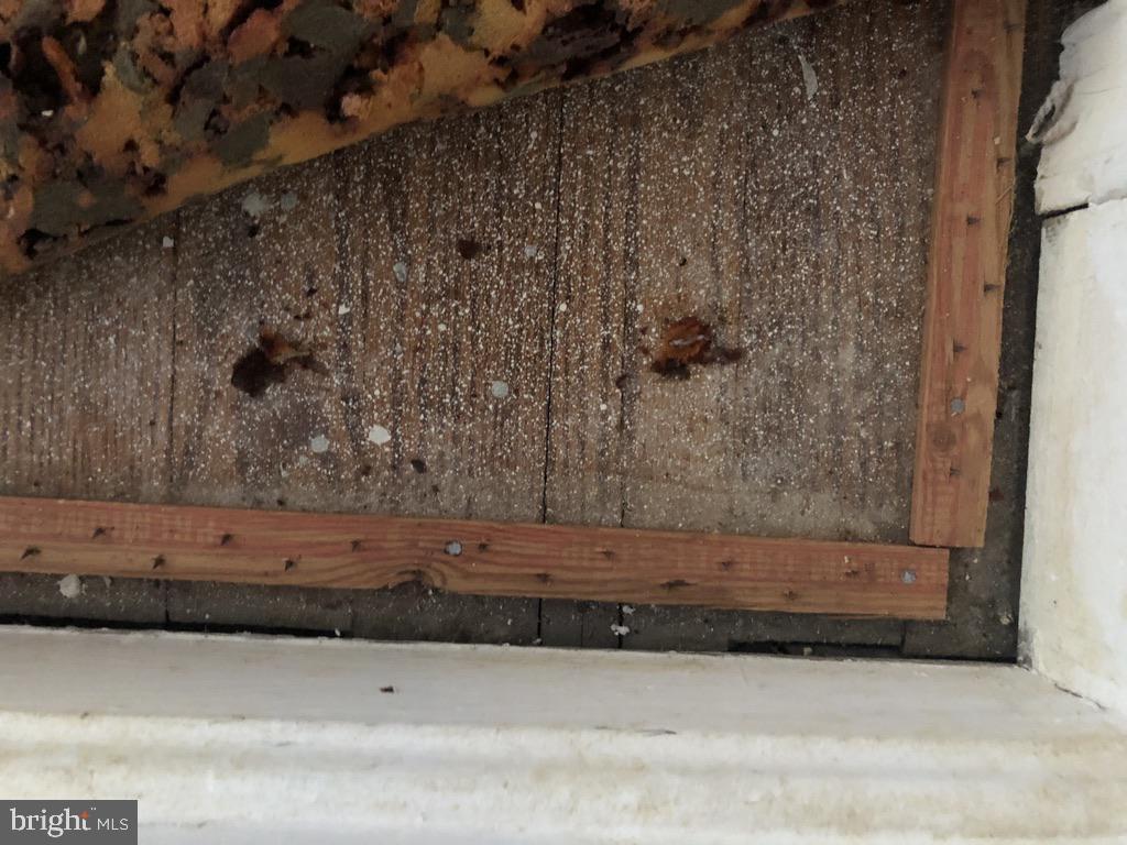 513 12th Street Northeast, Unit 9 Washington, DC 20002 - Photo 20 of 35 Oak HW under w/w 80% of floors need cover