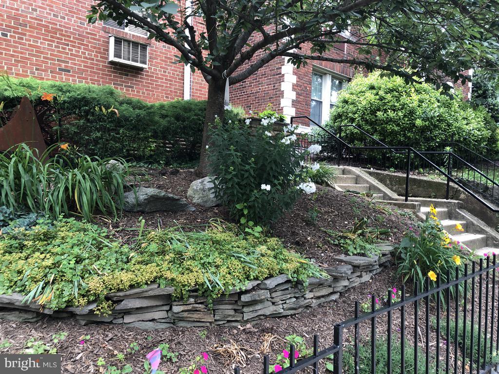 513 12th Street Northeast, Unit 9 Washington, DC 20002 - Photo 4 of 35 Nicely landscaped front yard.
