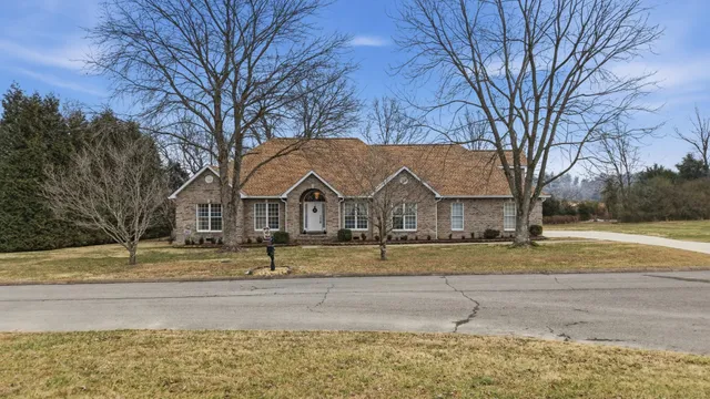 a view of road with large trees
