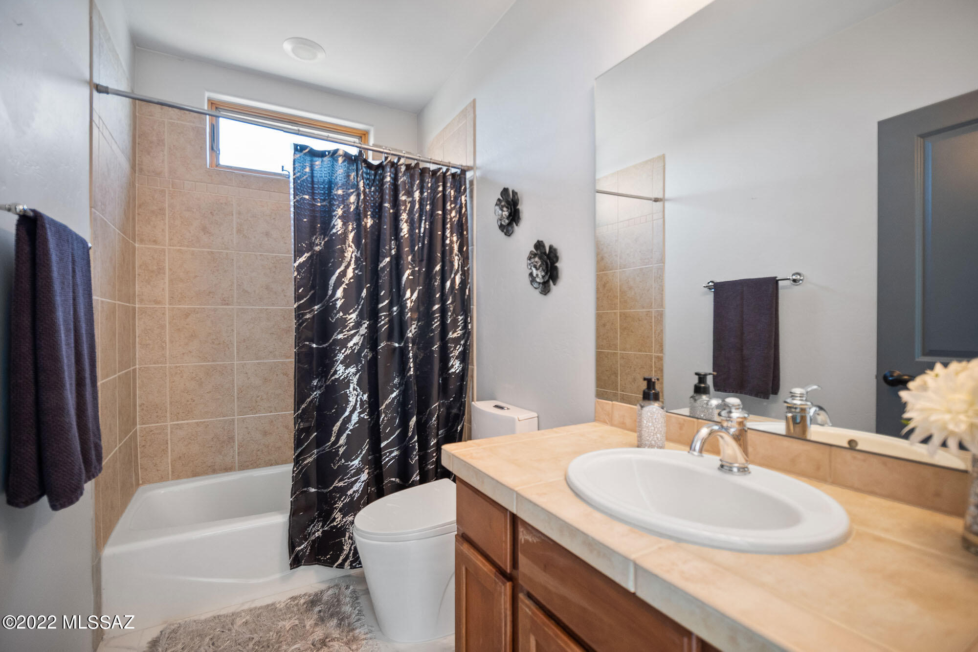 11362 North Moon Ranch Place Marana, AZ 85658 - Photo 24 of 44