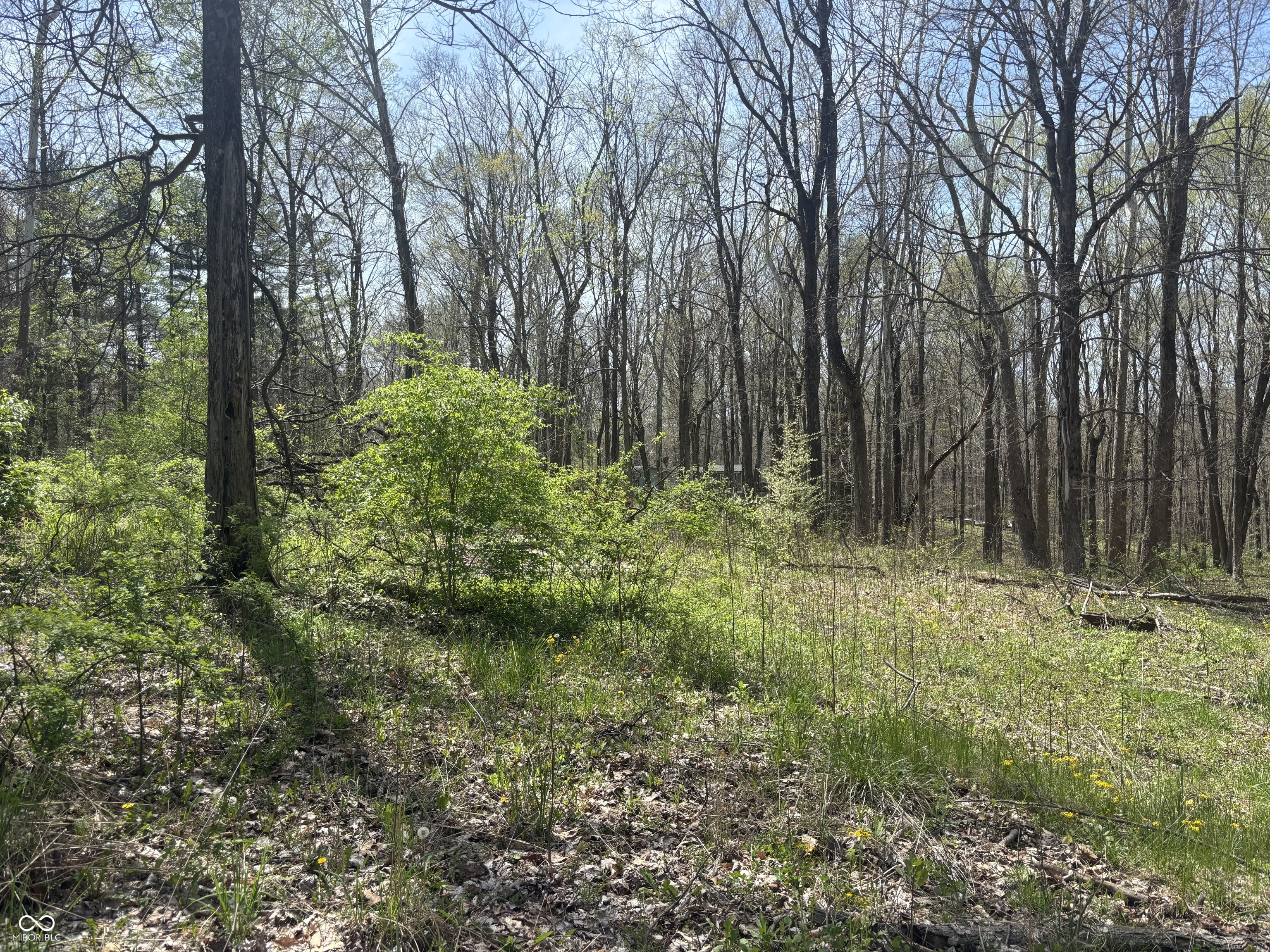 4075 Camelot Road Spencer, IN 47460 - Photo 1 of 3