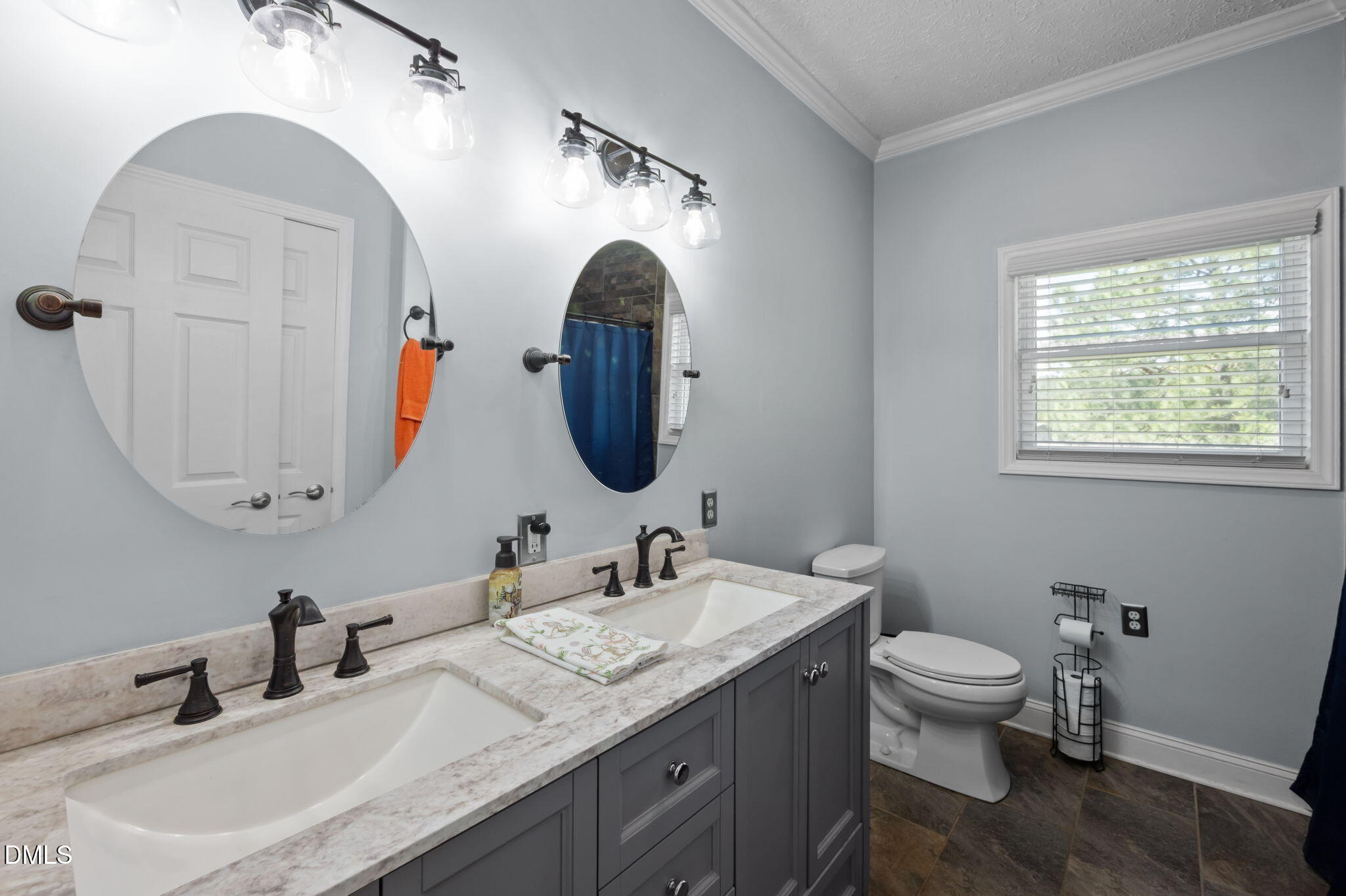 236 Dirgie Mine Road Roxboro, NC 27574 - Photo 31 of 55 a bathroom with a toilet a sink and a mirror