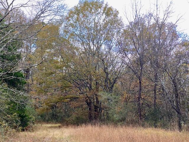 1639 Tennga Gregory Road Crandall, GA 30711 - Photo 47 of 53 IMG_0342
