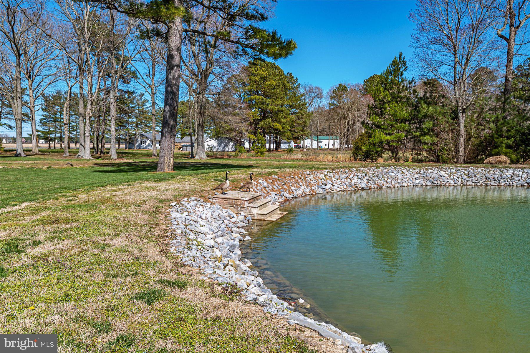2107 Church Creek Road Cambridge, MD 21613 - Photo 45 of 84 Gallery Image 45