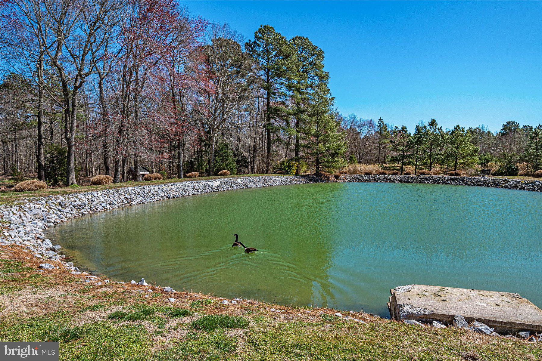 2107 Church Creek Road Cambridge, MD 21613 - Photo 46 of 84 Gallery Image 46