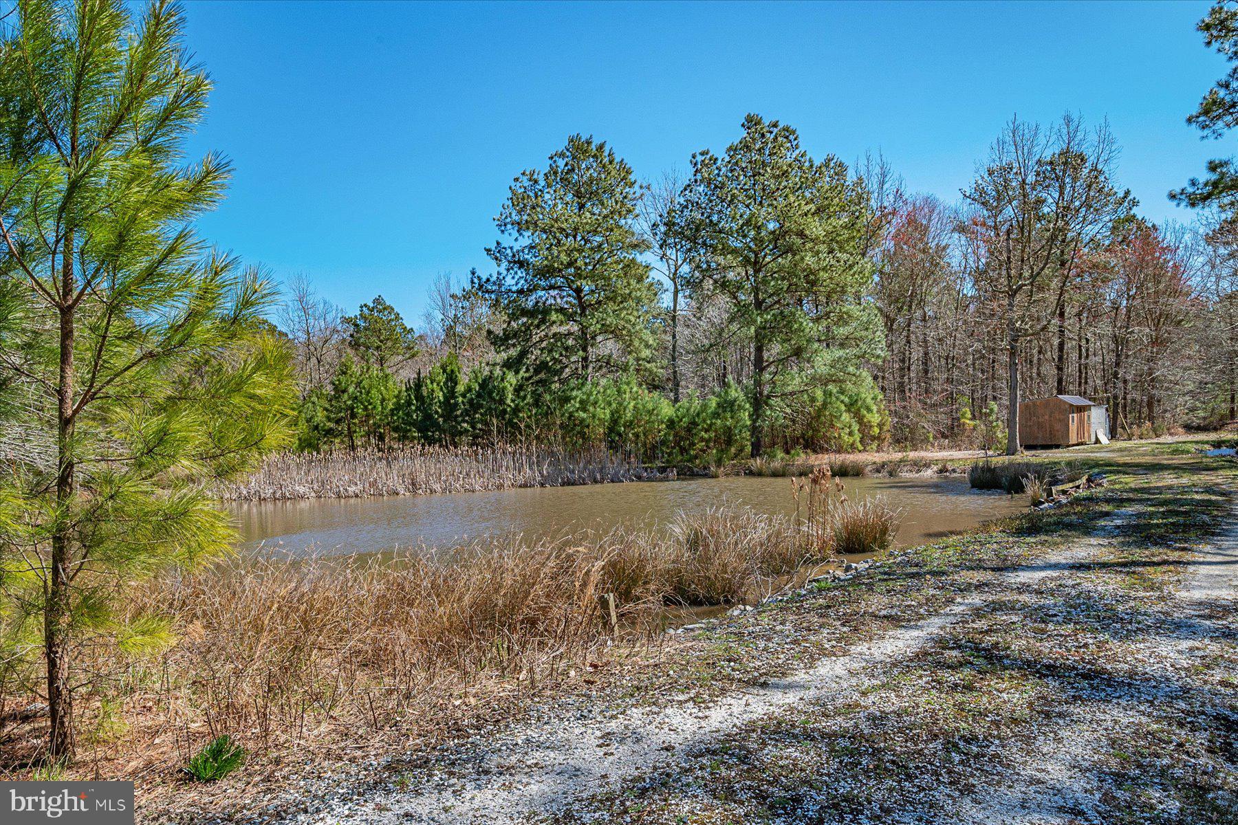 2107 Church Creek Road Cambridge, MD 21613 - Photo 58 of 84 Gallery Image 58