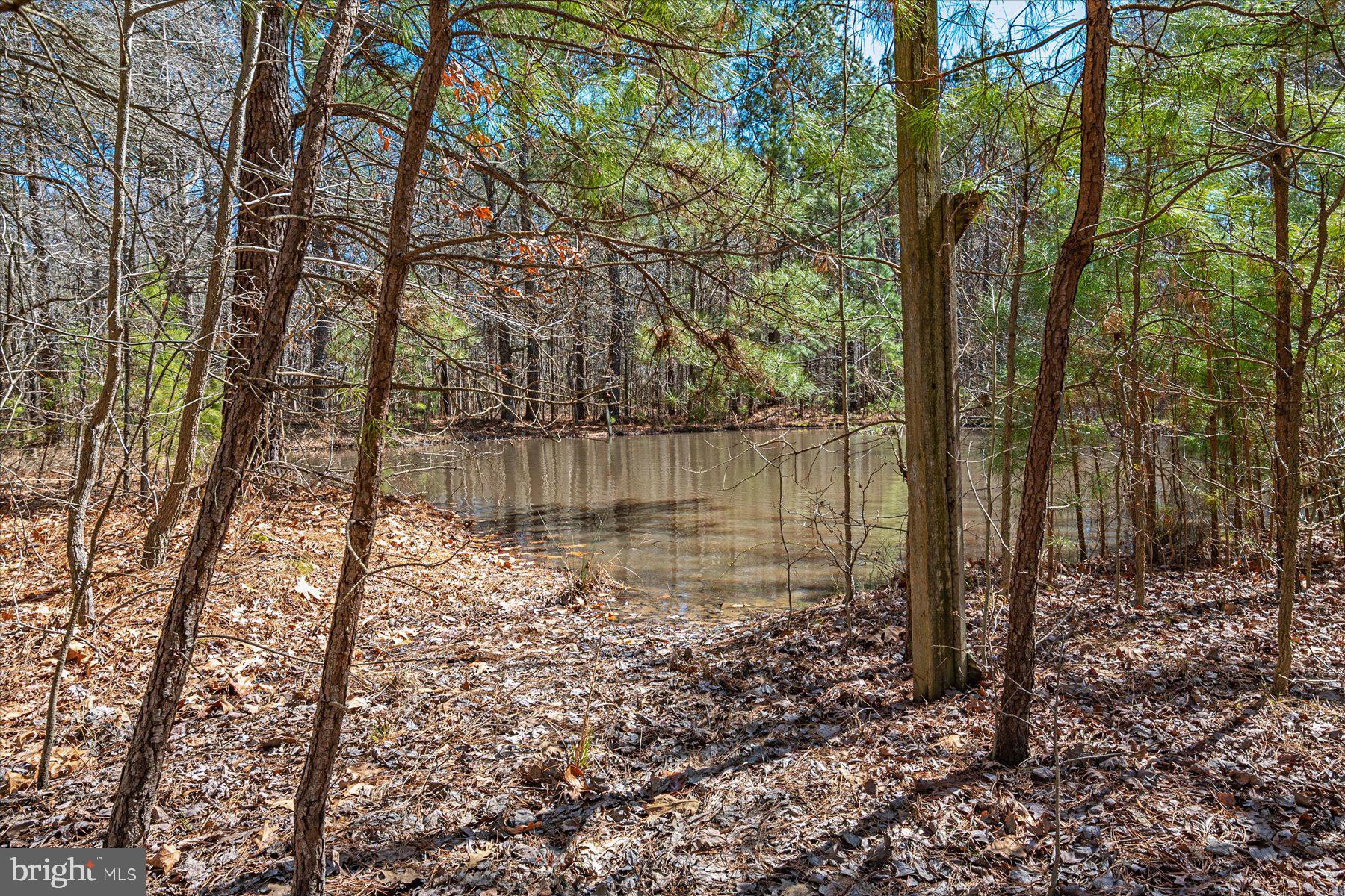2107 Church Creek Road Cambridge, MD 21613 - Photo 59 of 84 Gallery Image 59