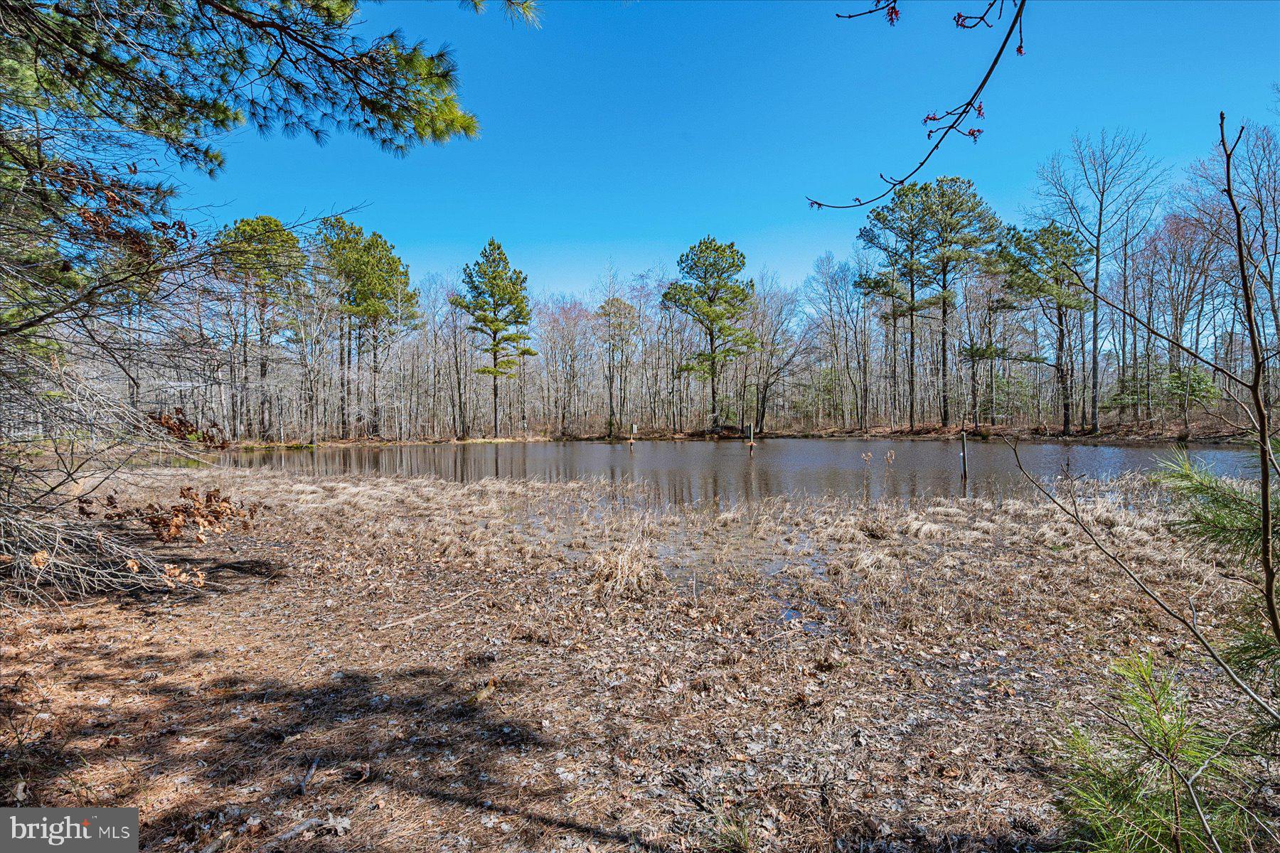 2107 Church Creek Road Cambridge, MD 21613 - Photo 60 of 84 Large Pond #4