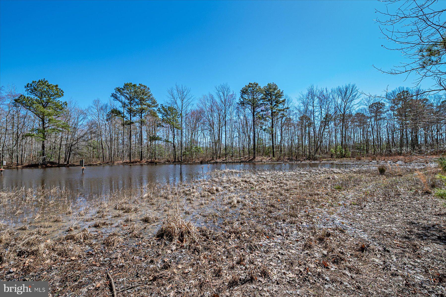 2107 Church Creek Road Cambridge, MD 21613 - Photo 69 of 84 Large Pond #4