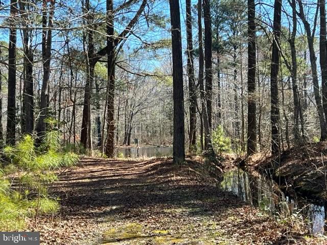 2107 Church Creek Road Cambridge, MD 21613 - Photo 75 of 84 Trail