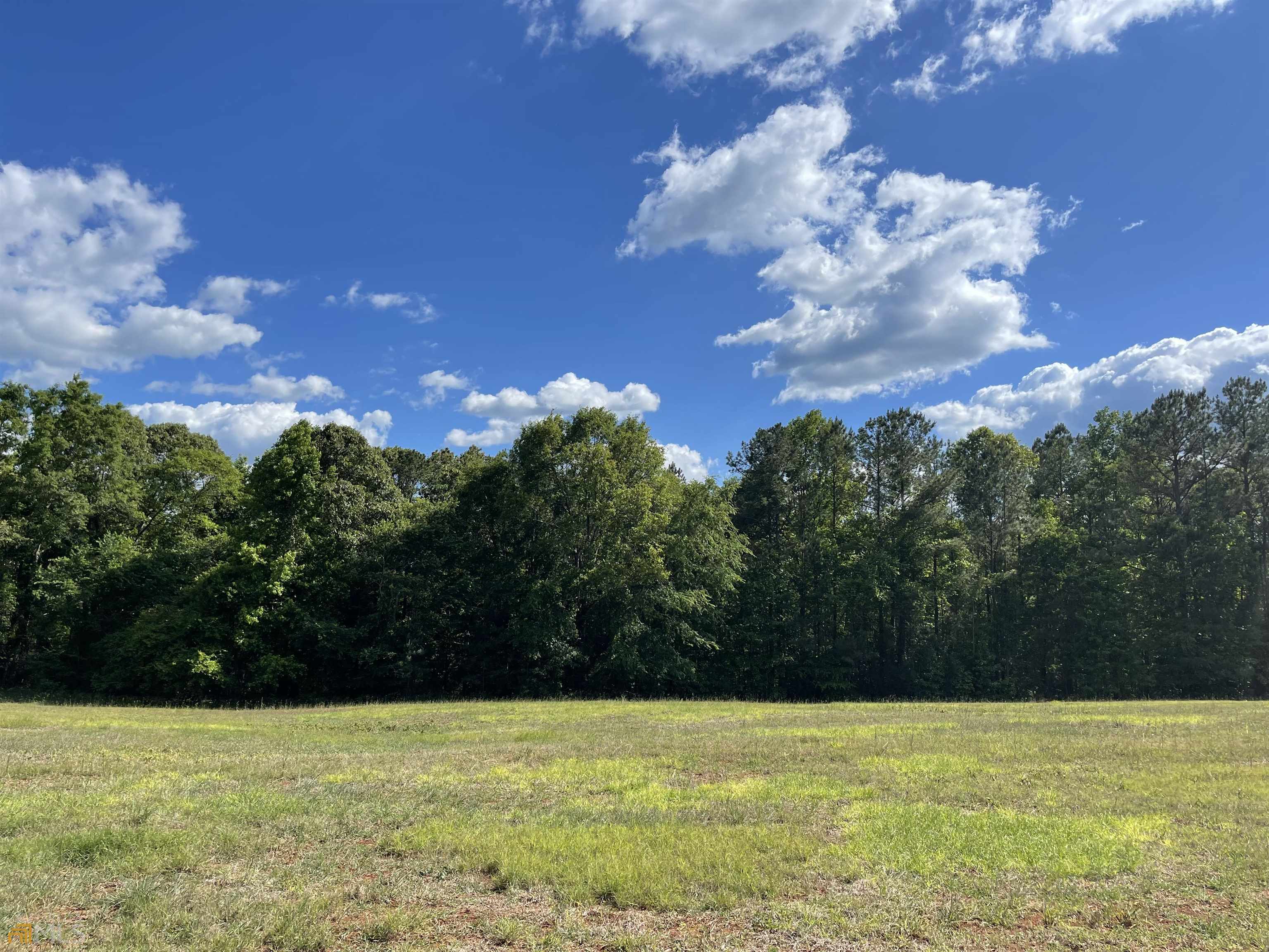 0 Cook Road Zebulon, GA 30295 - Photo 1 of 1 Gallery Image 1