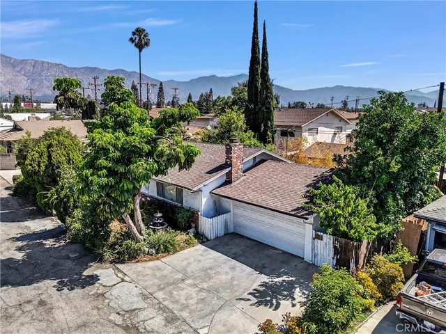 a view of a garden with a tree in front of it