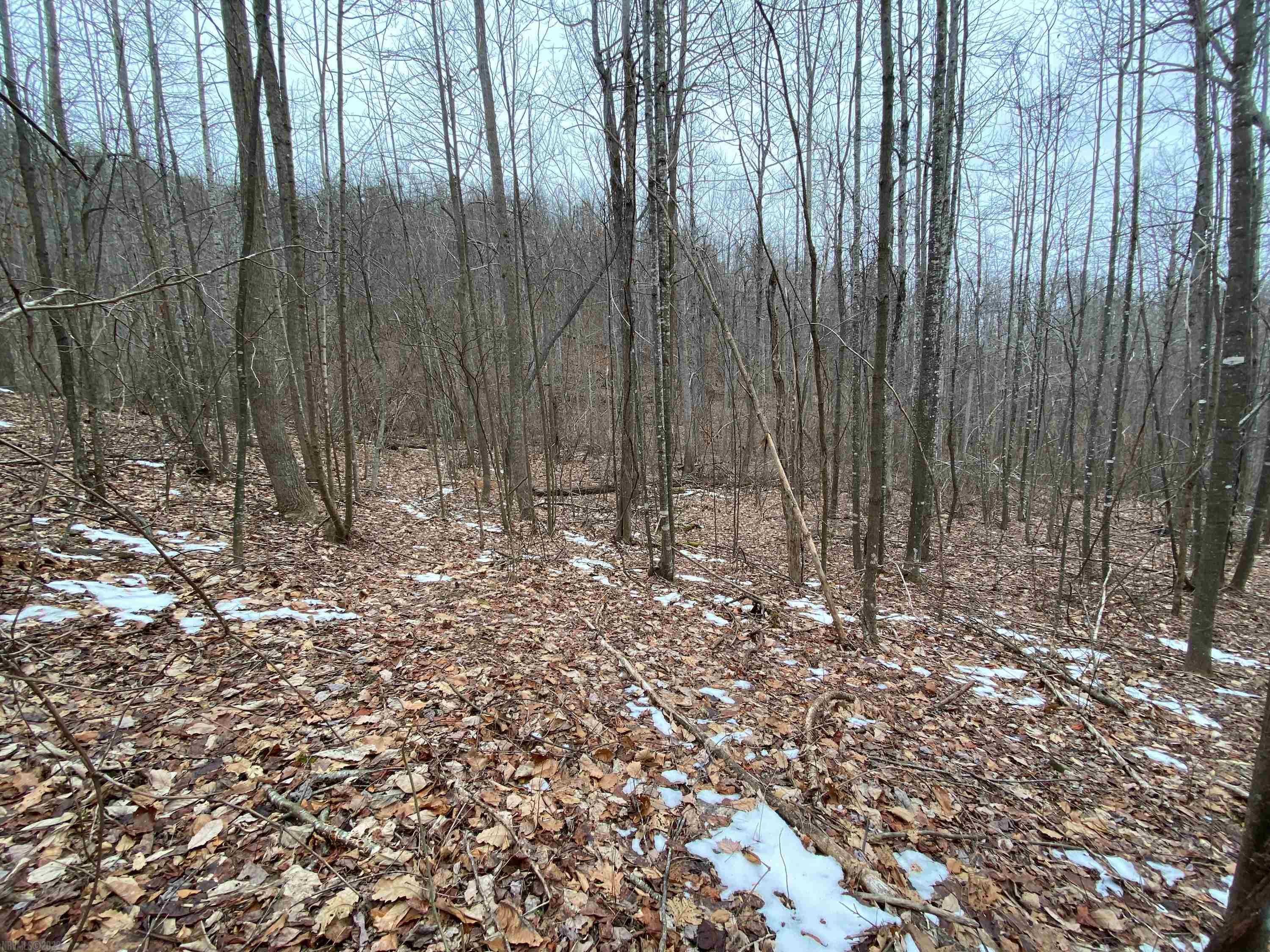 Tbd Broad Hollow Road Floyd, VA 24091 - Photo 19 of 26 Gallery Image 19