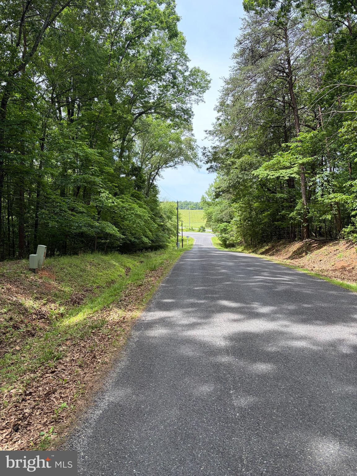 1 Rapidan Road Locust Grove, VA 22508 - Photo 4 of 21 A total of 4.1 acres, this is a rare opportunity!