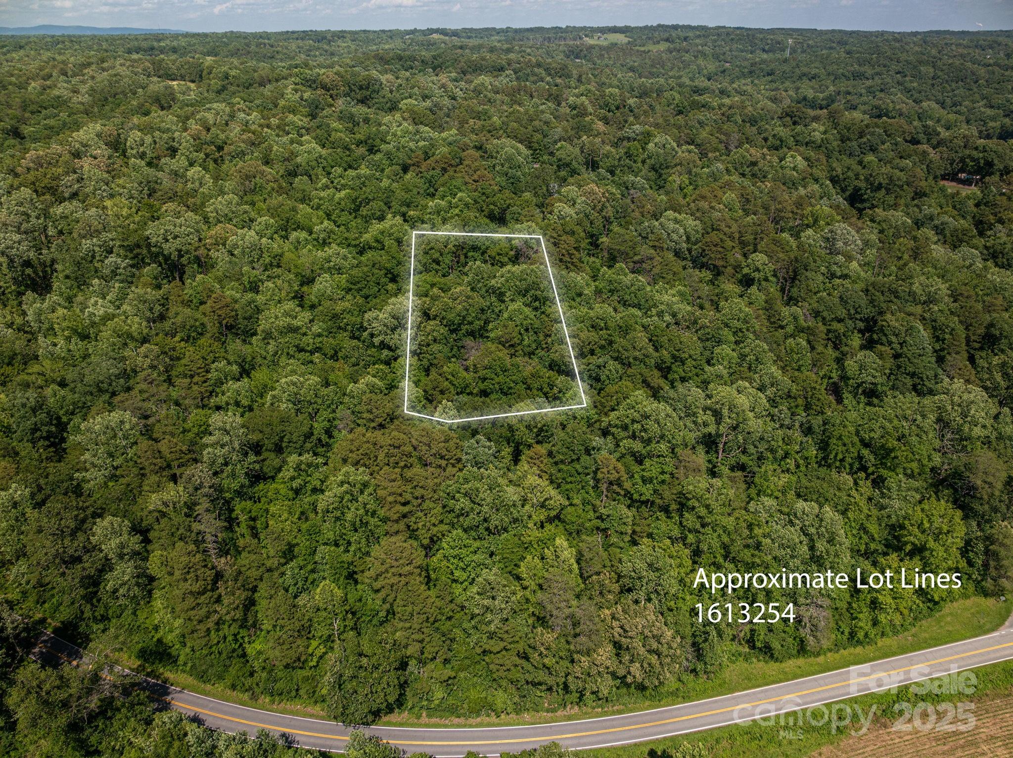 Lot 166 Plantation Drive Rutherfordton, NC 28139 - Photo 2 of 22 a view of a forest from a window