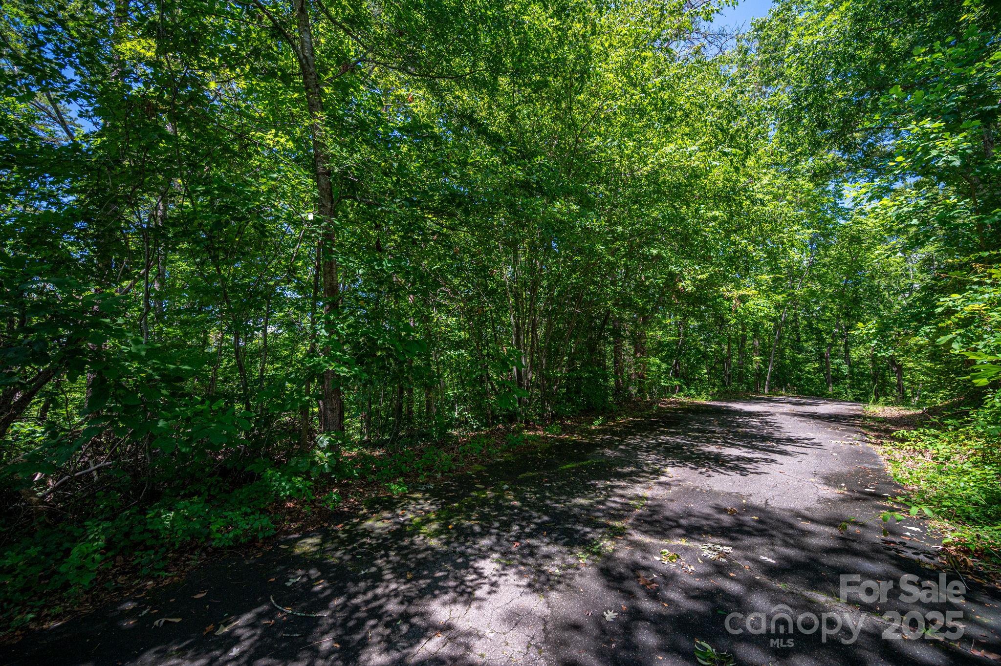 Lot 166 Plantation Drive Rutherfordton, NC 28139 - Photo 22 of 22 a view of outdoor space and trees