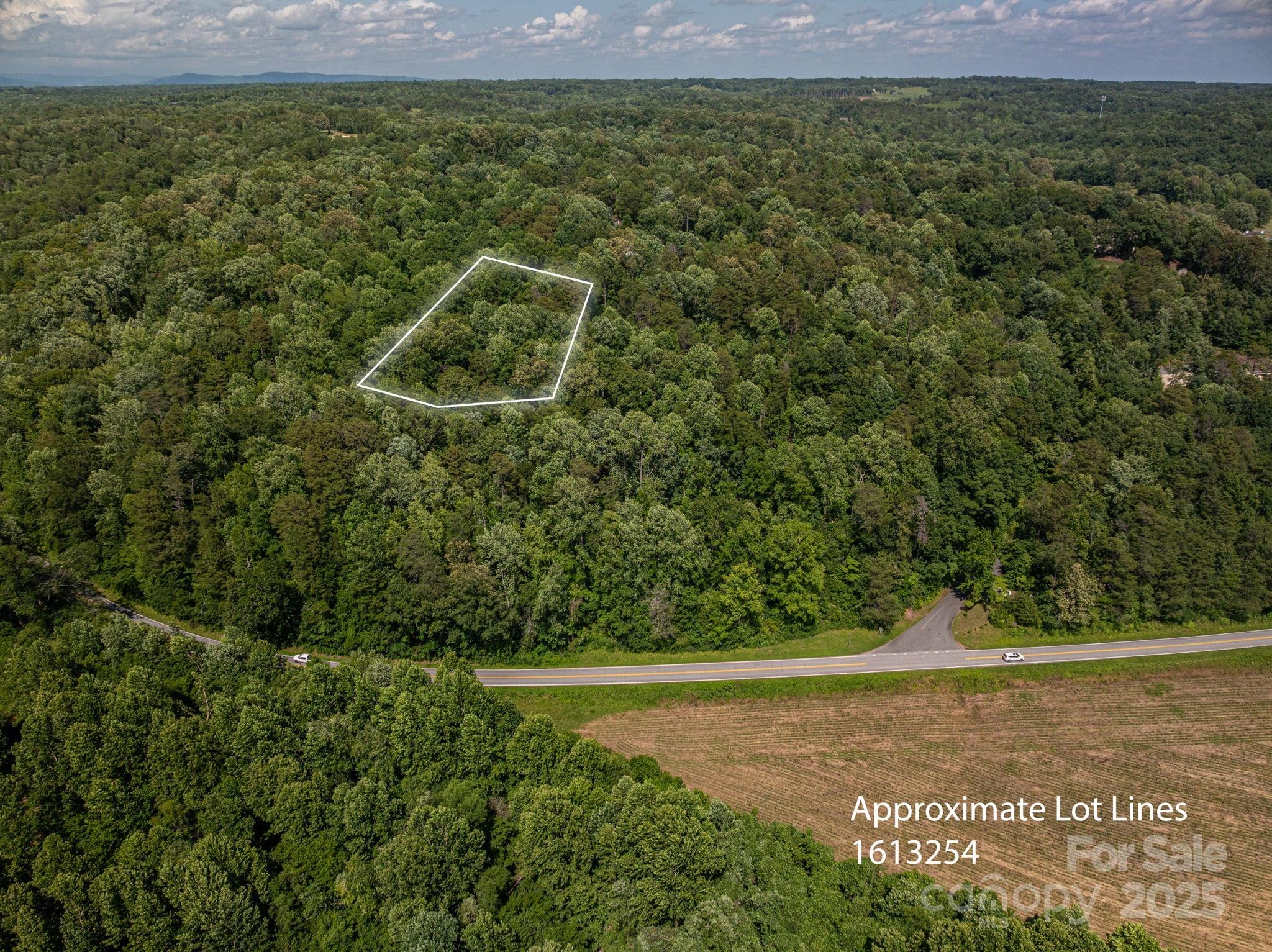 Lot 166 Plantation Drive Rutherfordton, NC 28139 - Photo 4 of 22 a view of a field with plants and large trees