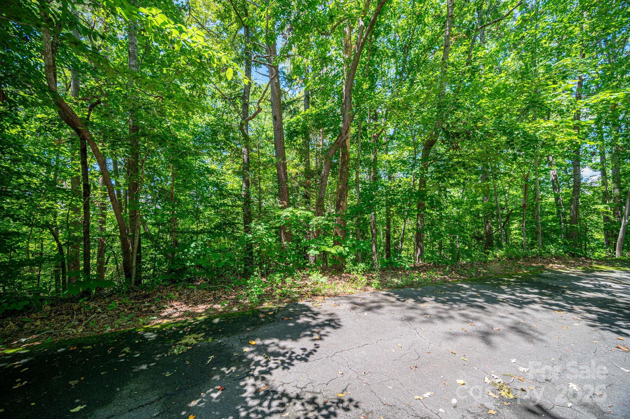 Lot 166 Plantation Drive Rutherfordton, NC 28139 - Photo 5 of 22 a big yard with lots of green space and trees