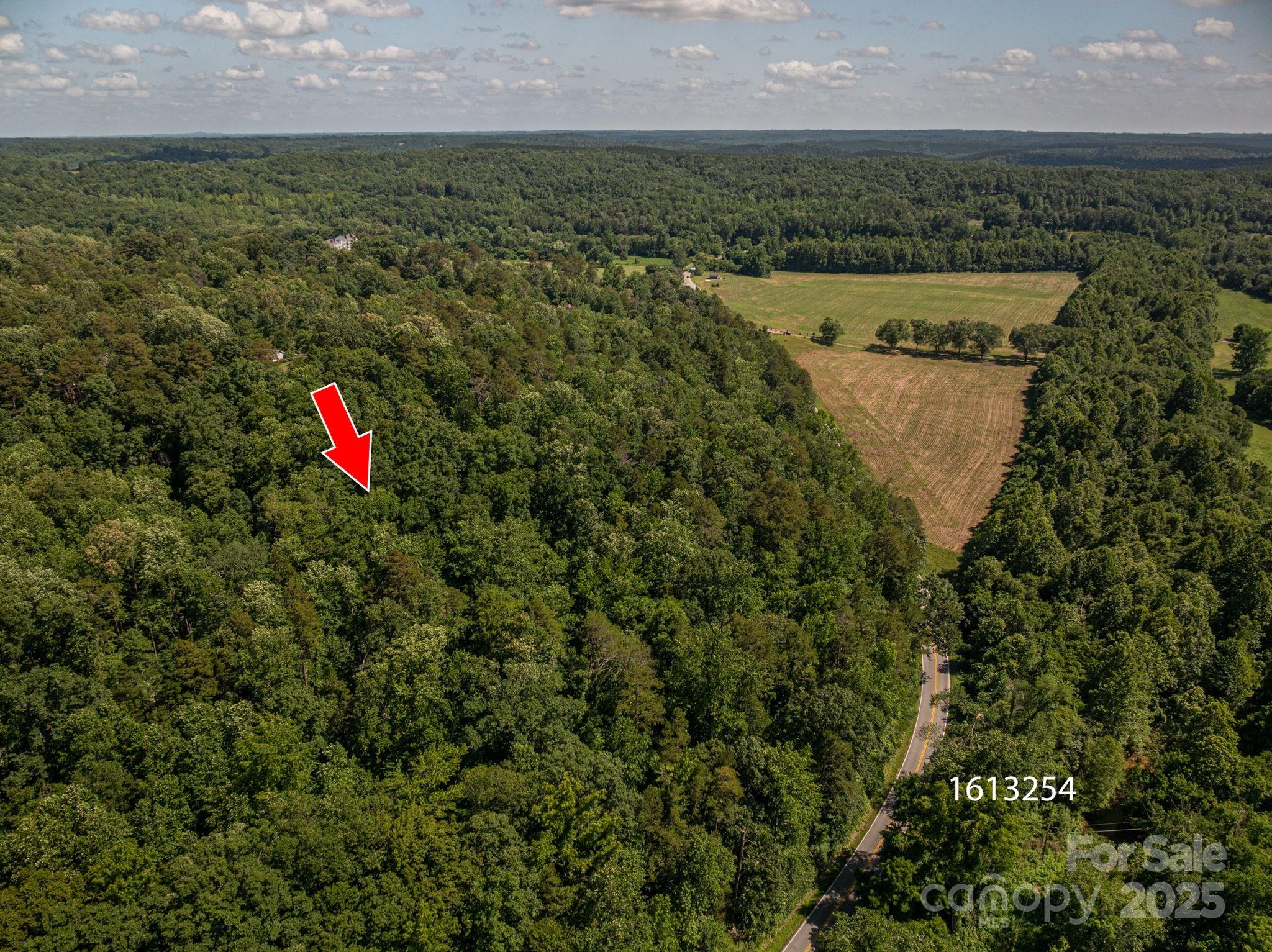 Lot 166 Plantation Drive Rutherfordton, NC 28139 - Photo 6 of 22 an aerial view of a houses with a yard