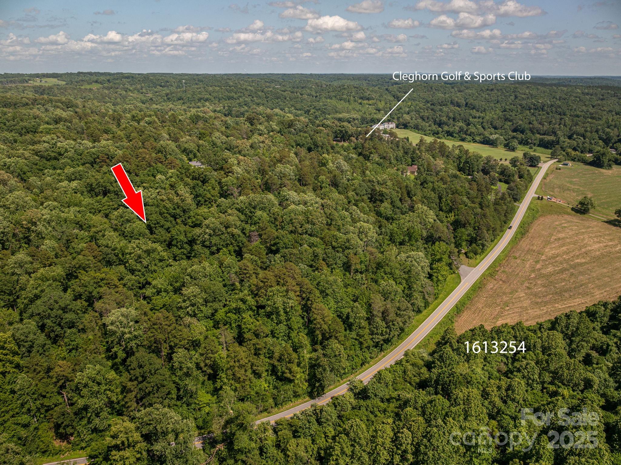 Lot 166 Plantation Drive Rutherfordton, NC 28139 - Photo 8 of 22