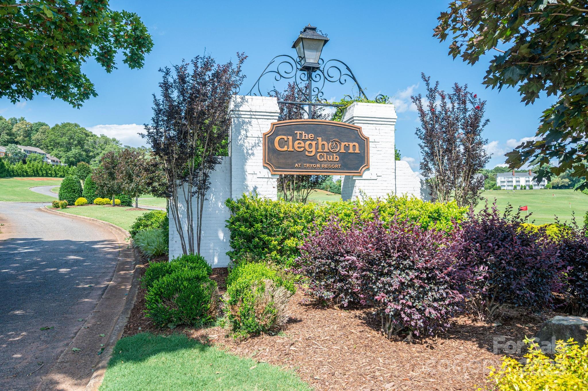 Lot 166 Plantation Drive Rutherfordton, NC 28139 - Photo 10 of 22 a view of a street with flower garden