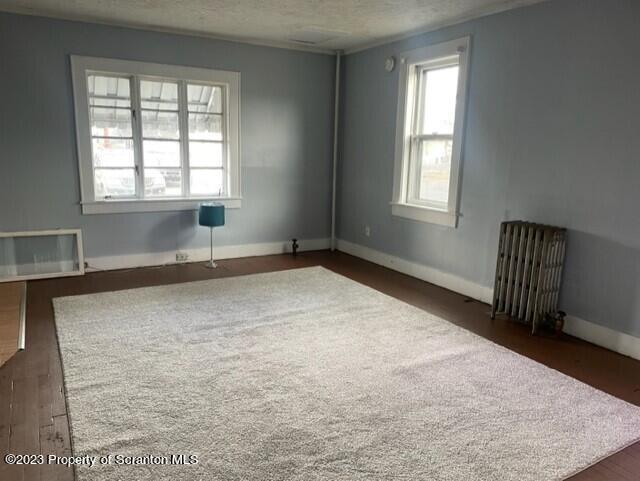 513 Rear River Street Scranton, PA 18505 - Photo 3 of 12 Gallery Image 3