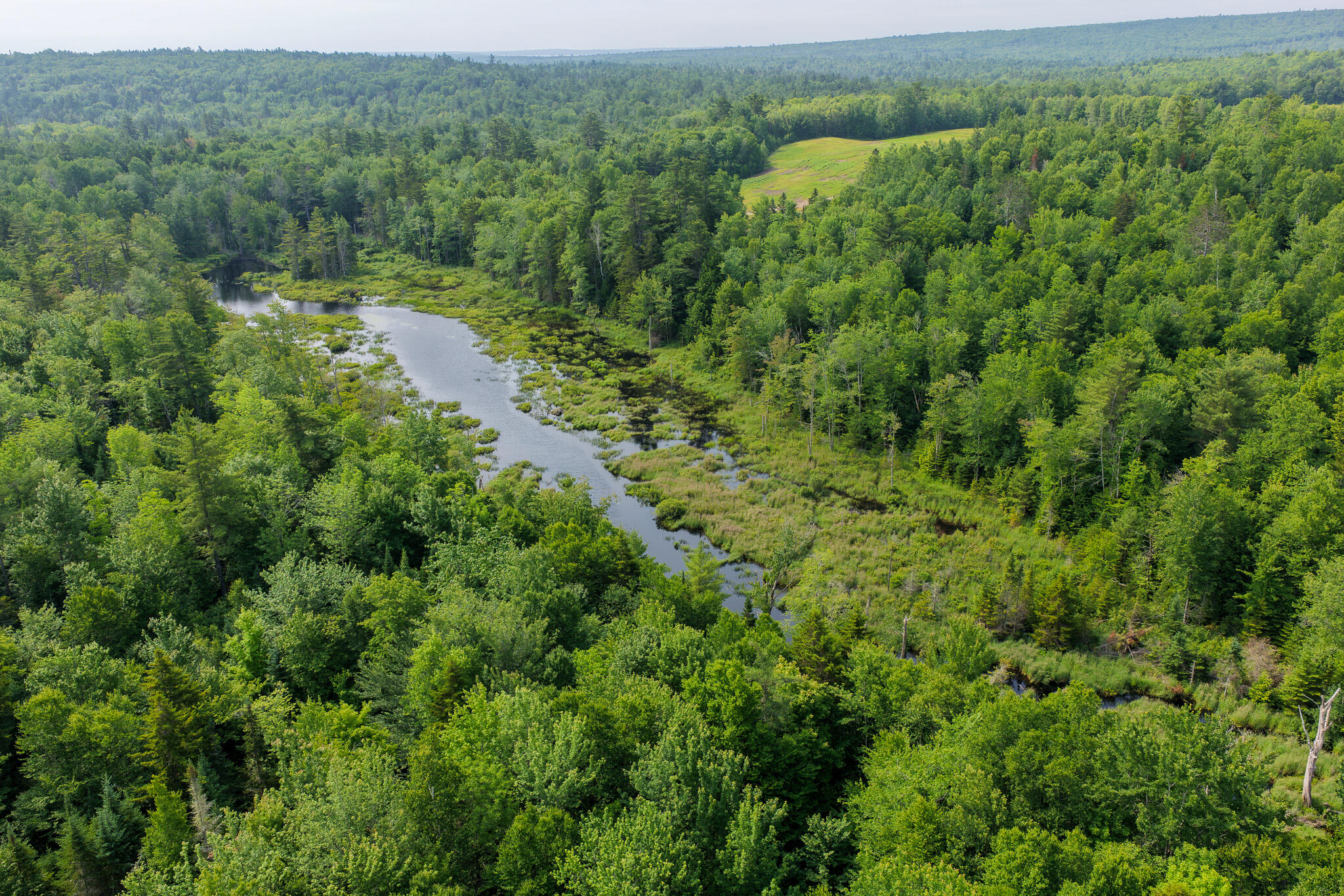 156 North Union Road Cooper, ME 04657 - Photo 4 of 11 4