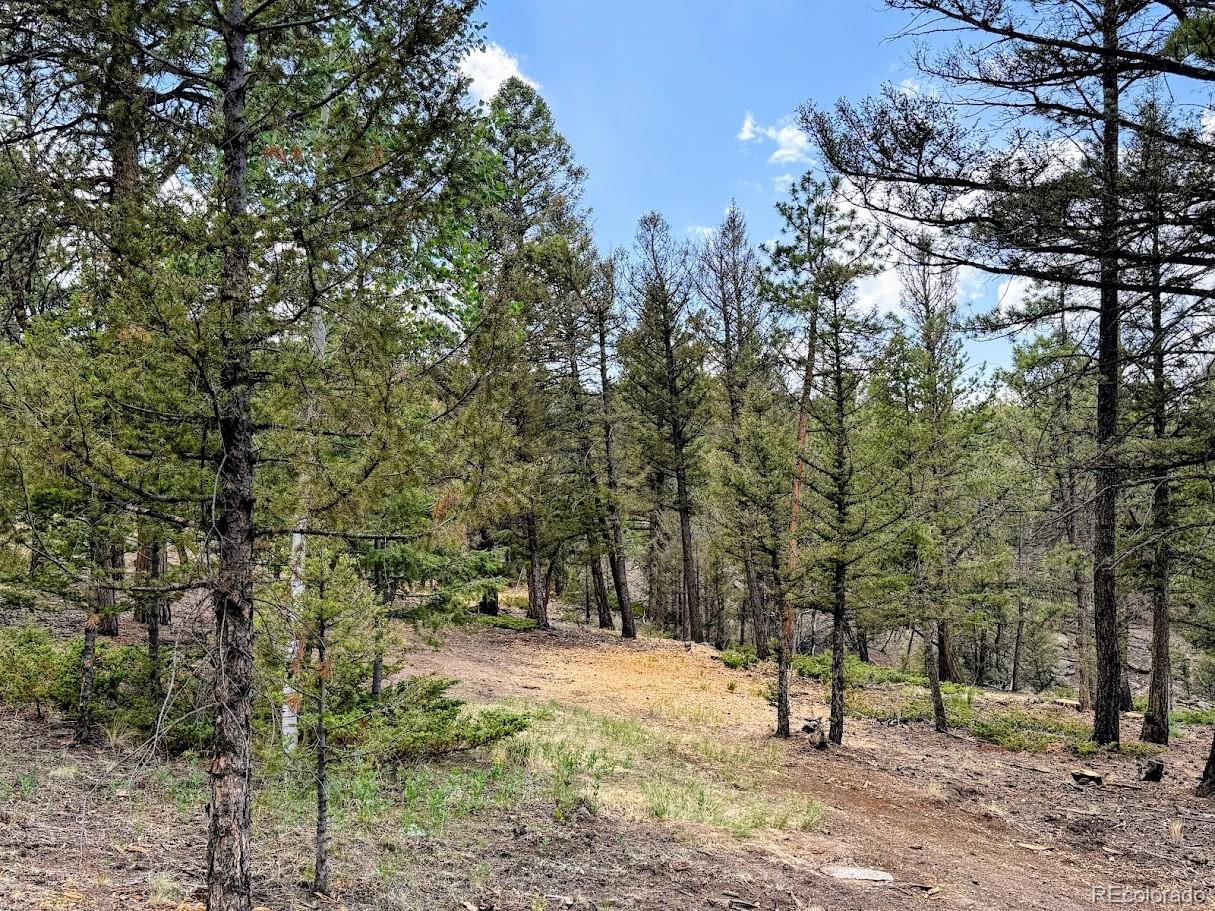 1789 Bellows Road Hartsel, CO 80449 - Photo 11 of 21