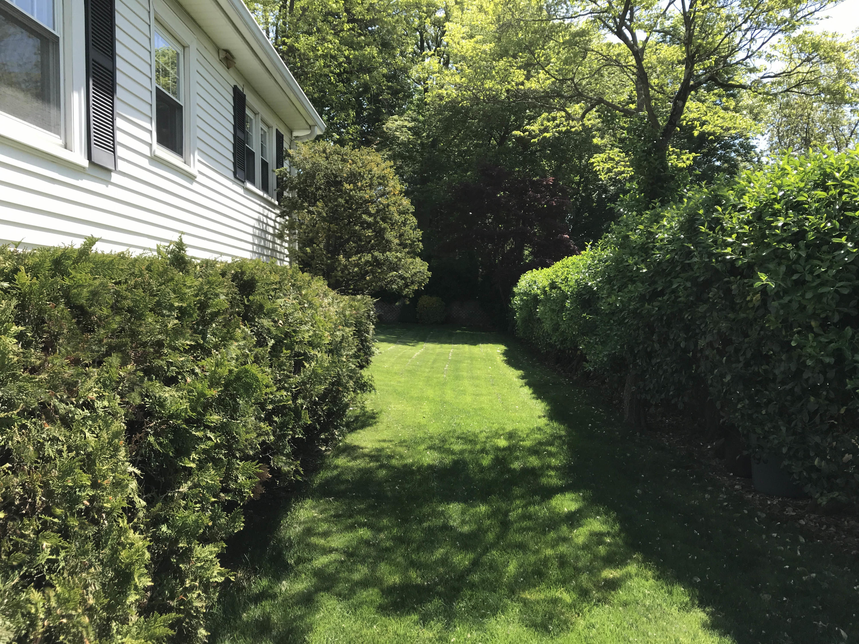 170 Hollow Tree Ridge Road Darien, CT 06820 - Photo 17 of 18 a view of backyard of house