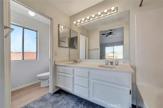 a bathroom with a sink a toilet and a bathtub