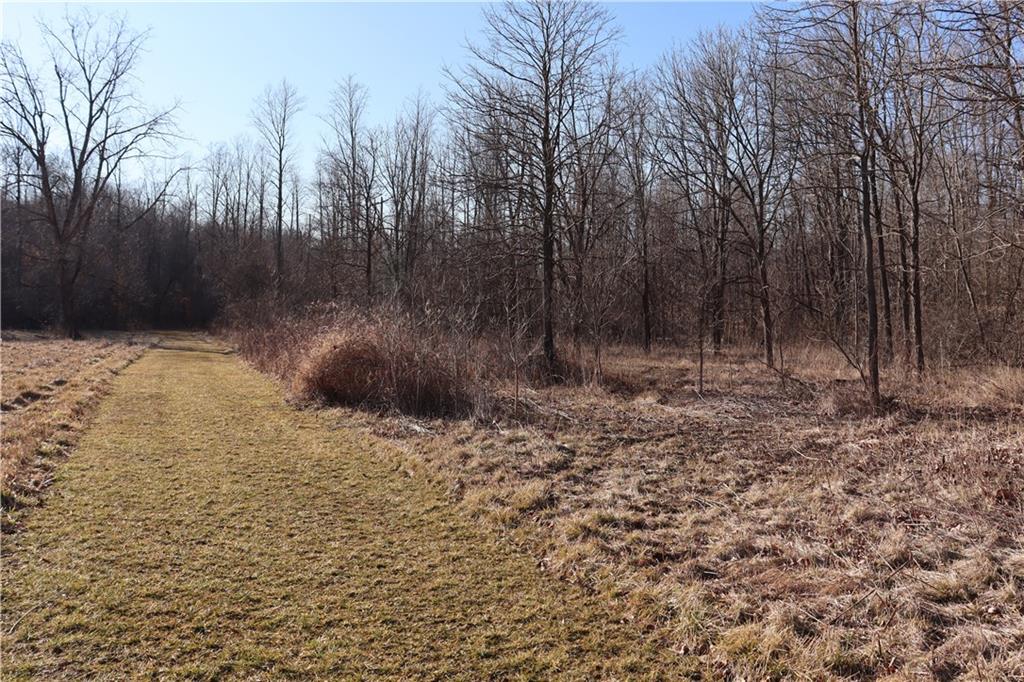 4643 Bridgeton Road Rockville, IN 47872 - Photo 22 of 39 Gallery Image 22