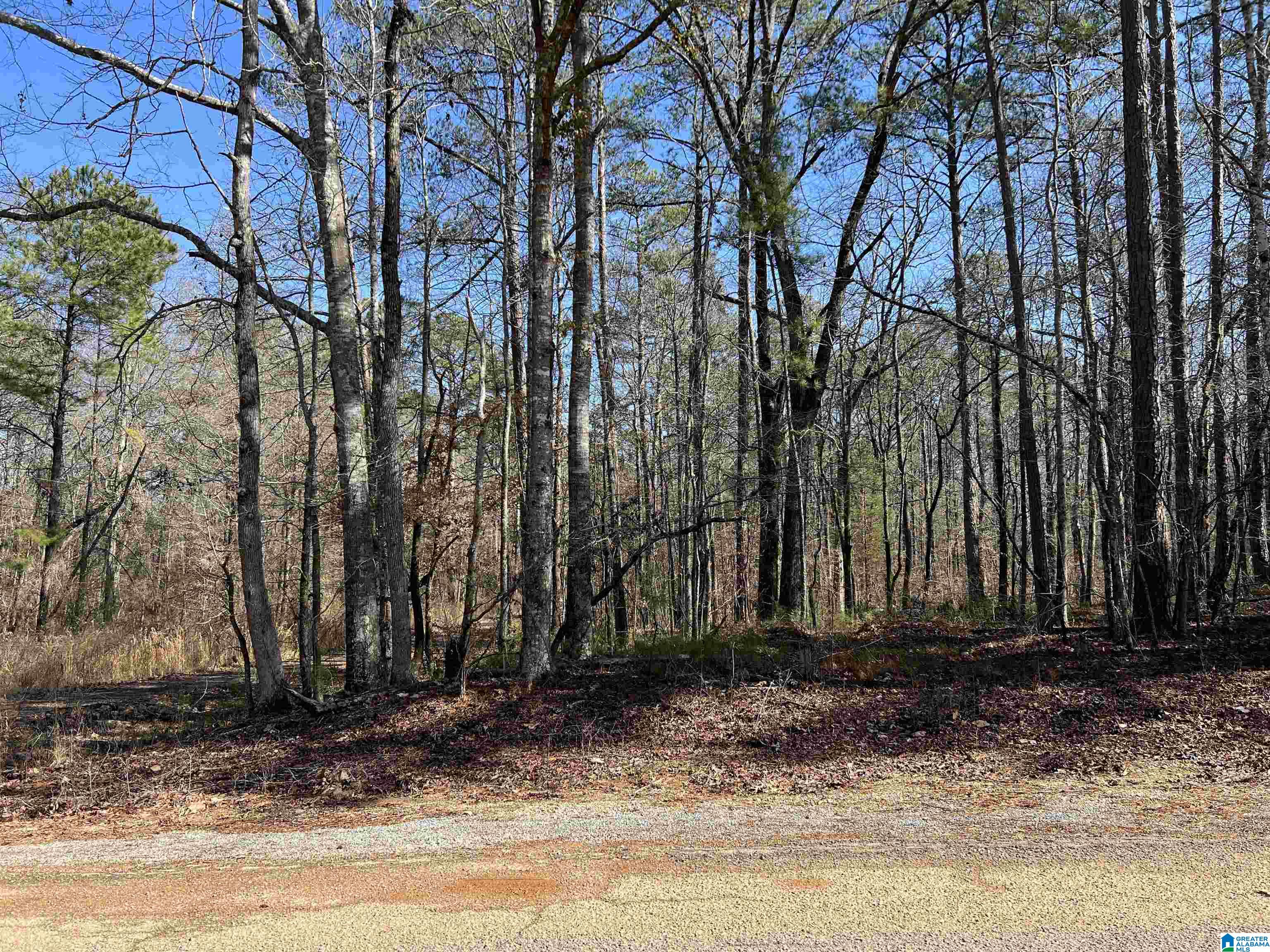 Lot 210 Greenbriar Road, Unit 210 Talladega, AL 35160 - Photo 3 of 5