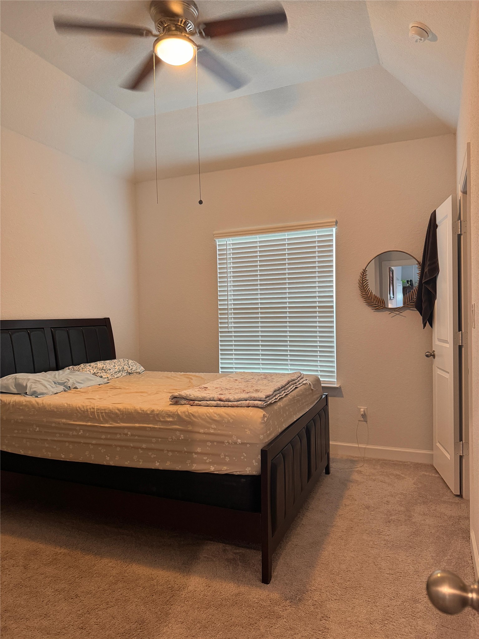 650 Wild Pecan Loop Buda, TX 78610 - Photo 22 of 28 Carpeted bedroom with ceiling fan and a tray ceiling