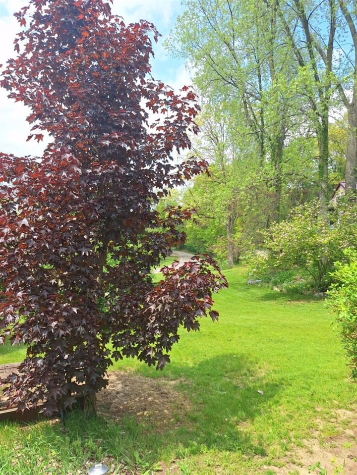 5211 Long Lake Road Reading, MI 49274 - Photo 87 of 99