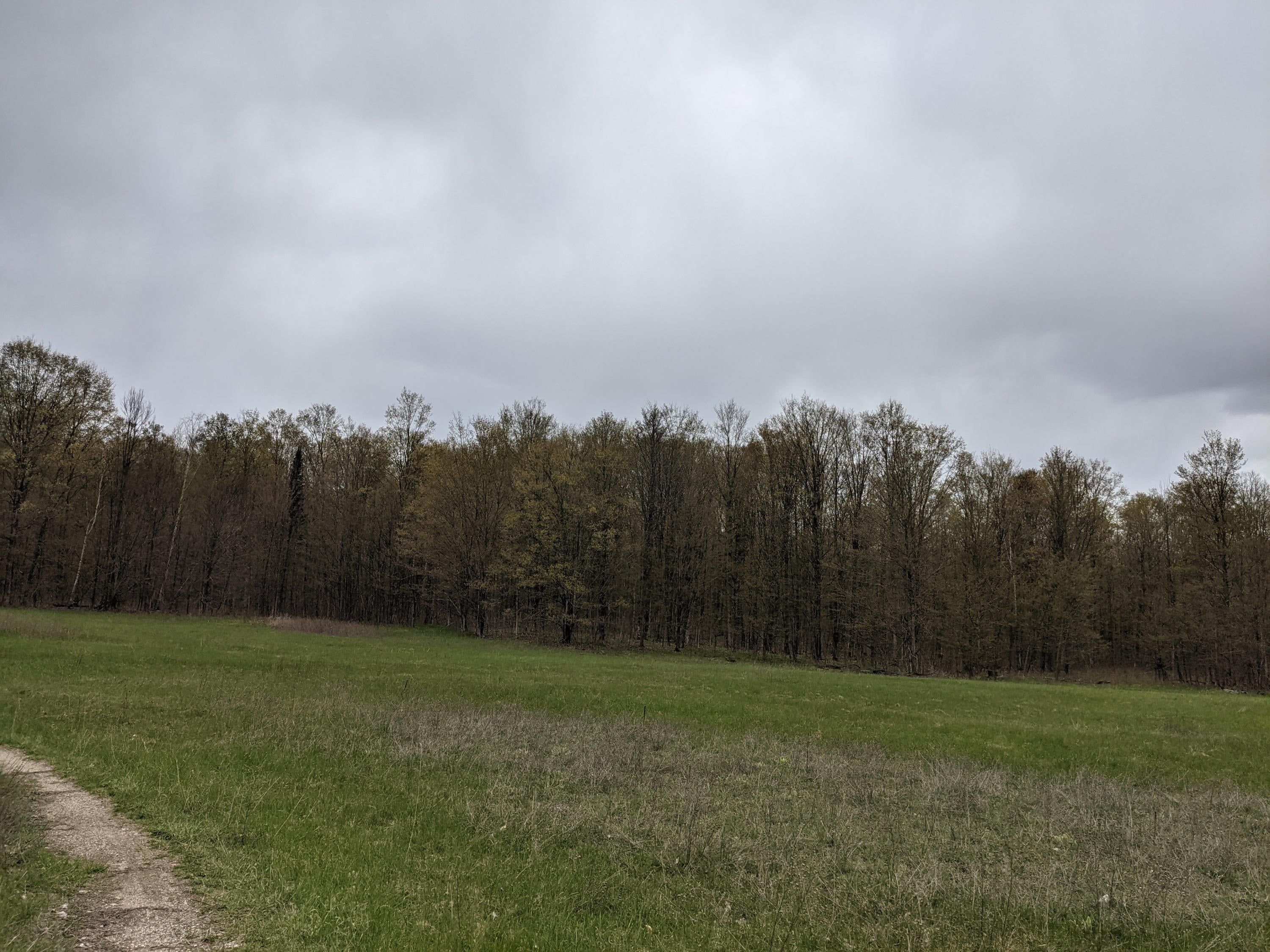 Hibner Road Atlanta, MI 49709 - Photo 19 of 25 Gallery Image 19