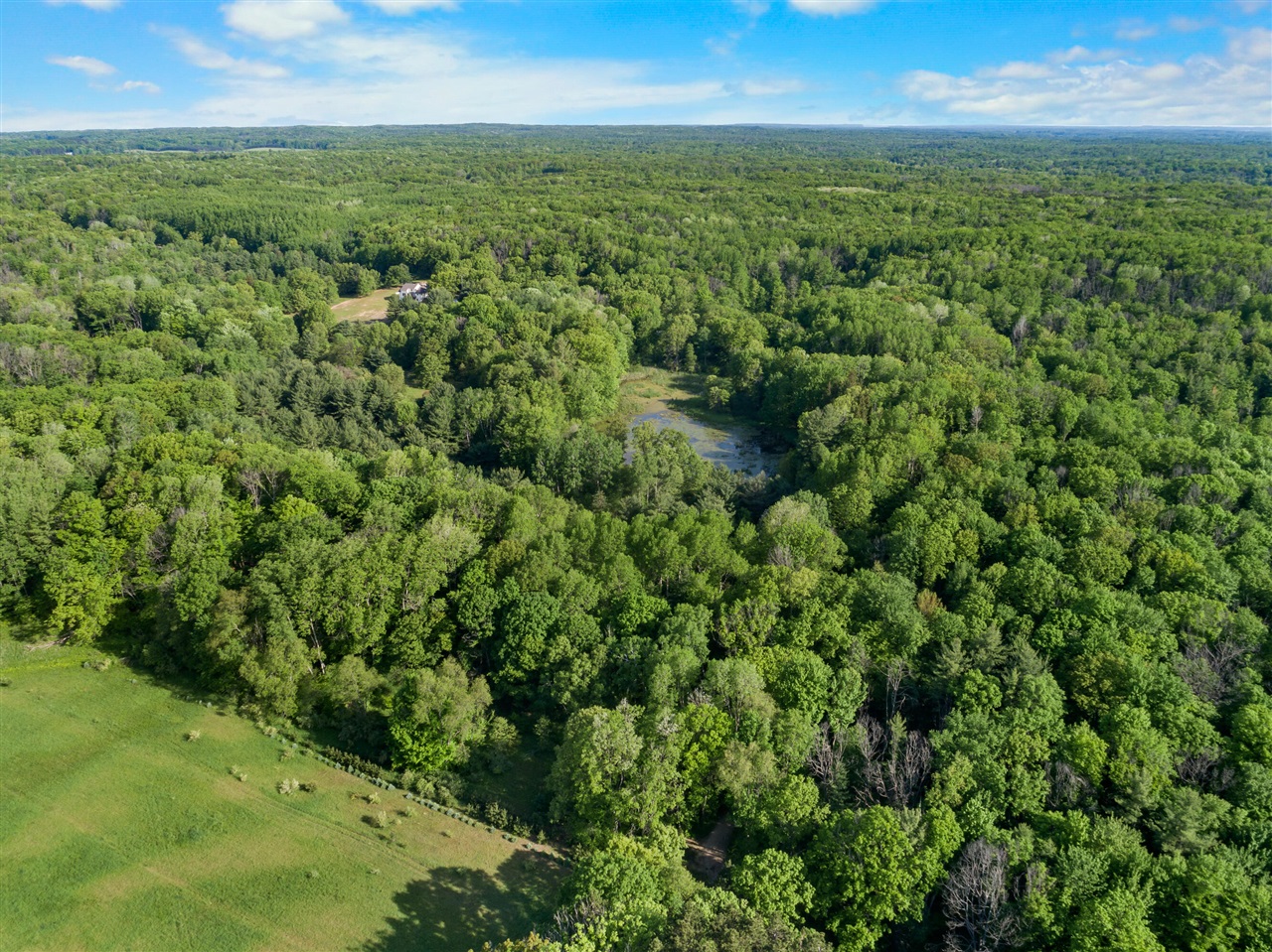 12 12 Mile Road Lakeview, MI 48850 - Photo 10 of 10