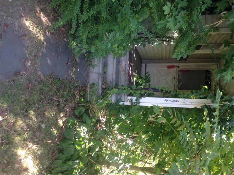 674 Wolcott Hill Road Wethersfield, CT 06109 - Photo 1 of 1 a view of a garden with a tree