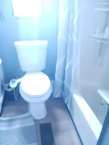 a bathroom with a toilet and a shower