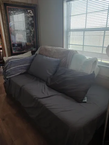 a living room with a bed furniture and a window